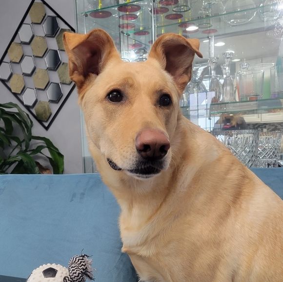 Meet your Posher, Kathy - Picture 2 of 2